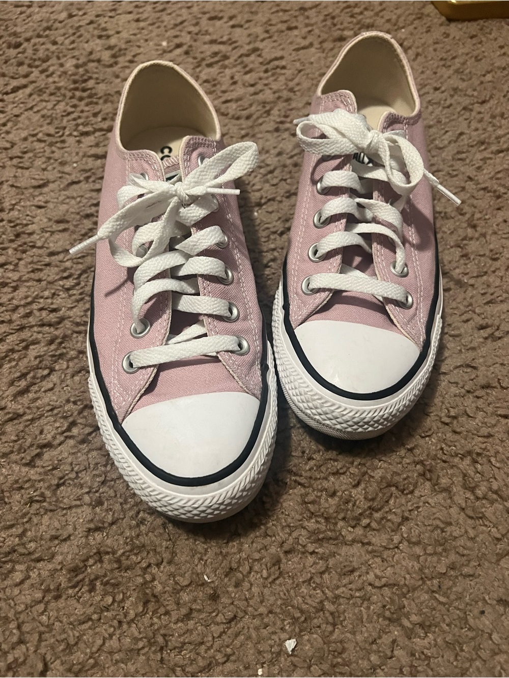 Casual Women's Pink Canvas Lace-Up Sneakers